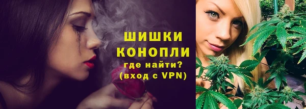 PSILOCYBIN Заводоуковск