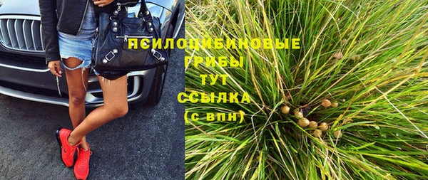 PSILOCYBIN Заводоуковск