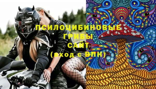 PSILOCYBIN Заводоуковск