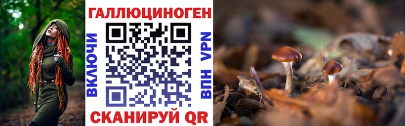 Псилоцибиновые грибы Magic Shrooms Новоузенск