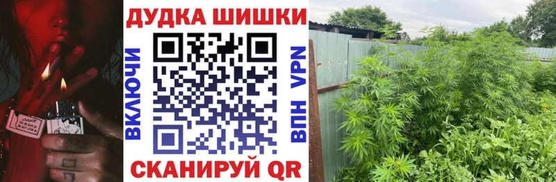 Каннабис Bruce Banner Новоузенск
